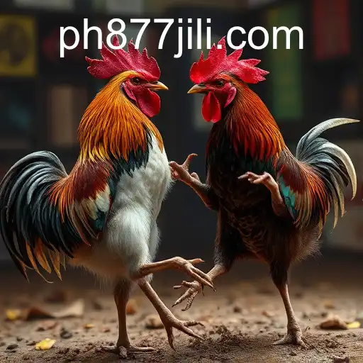 VIP Service 877JILI - 24/7 Support and Exclusive Benefits